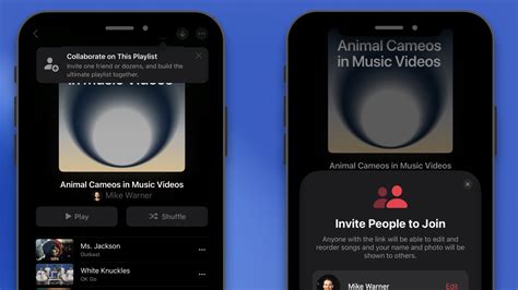 Can You Make a Collaborative Playlist on Apple Music? A Deeper Dive into the Feature and Its Prospects