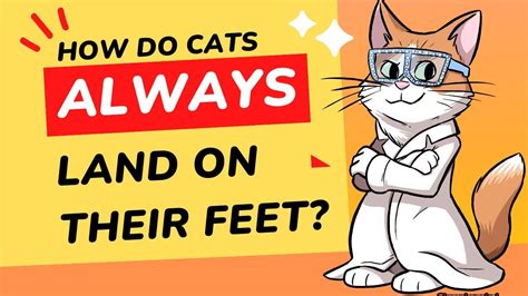 How Many Books Are Missing from the Bible and Why Do Cats Always Land on Their Feet?